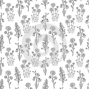 Hand drawn seamless pattern of blooming wildflowers, canterbury bells, chamomile. Floral collection on a white background.