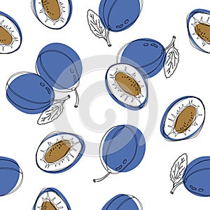 Hand drawn seamless pattern with blue plums. Vector illustration. Good for background, wallpaper, textile, wrap and etc.