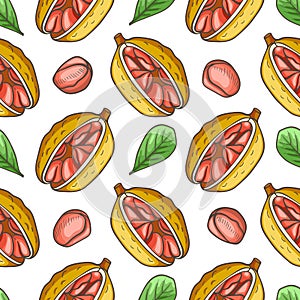 Hand drawn seamless pattern with cola nut