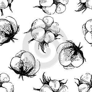 Hand drawn seamless pattern with cotton plant