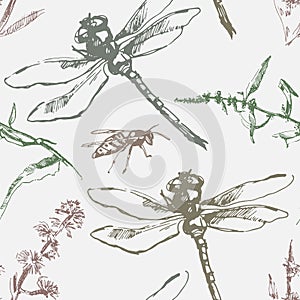 Hand-drawn seamless pattern with dragonfly, wasp and plants.