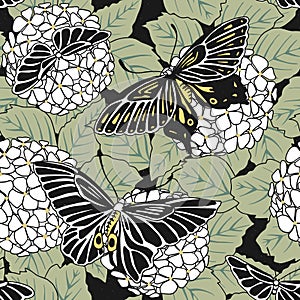 Hand drawn seamless pattern of hortensia flowers and butterflies