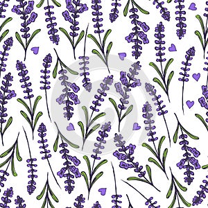 Hand drawn seamless pattern with lavender.