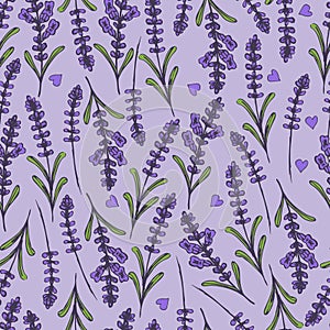 Hand drawn seamless pattern with lavender.