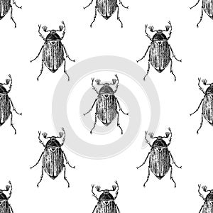 Hand drawn seamless pattern with maybugs
