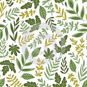 Hand drawn seamless pattern - salad greens and leaves isolated on white background in trendy organic style. Vector illustration.