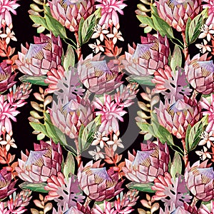 Hand-drawn seamless pattern with tropical Proteas and succulents in boho style