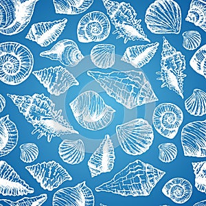 Hand drawn seamless pattern with various seashell