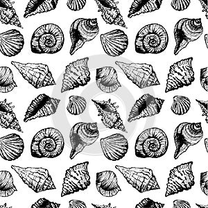 Hand drawn seamless pattern with various seashells