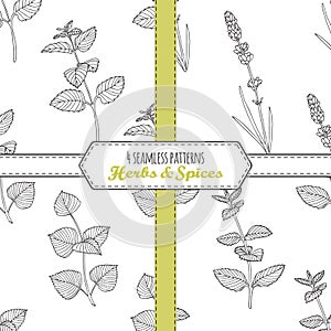 Hand drawn seamless patterns collection with melissa, mint, lavender, perilla