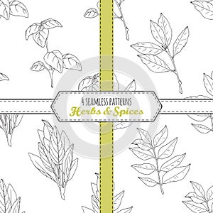 Hand drawn seamless patterns collection with sage, bay leaf, basil, curry