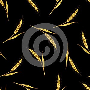 Hand-drawn seamless vector pattern. Yellow-golden spikelets of wheat on a black background. For prints of fabric, packaging.