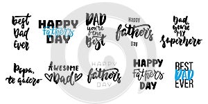 Hand drawn seasons set of lettering phrase about Fathers Day isolated on the white background. Fun brush ink vector