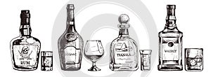 Hand drawn set of alcoholic drinks. Bottle of rum, cognac, tequila, whiskey. Vector beverage illustration, ink sketch