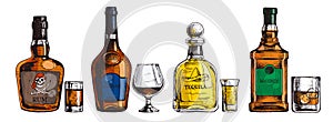 Hand drawn set of alcoholic drinks. Bottle of rum, cognac, tequila, whiskey. Vector beverage illustration, ink sketch