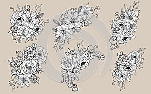 Hand drawn set of bouquets flowers and leaves. Peony, rose, lily, lotus, cotton elements. Floral summer vector collection.