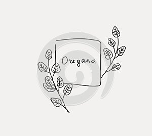 Hand drawn set of culinary herb. Basil and mint, rosemary and sage, thyme and parsley. Food design logo