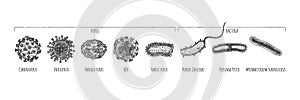 Hand drawn set of different virus and bacteria photo