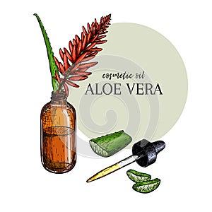 Hand drawn set of essential oils. Vector aloe vera flower. Medicinal herb with glass dropper bottle. Engraved colored