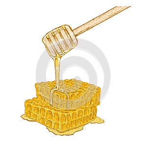 Hand drawn set of honeycomb with honey stick. Vector sketch