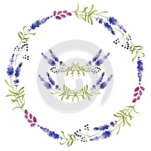 Hand drawn set of lavender flowers, wreaths and decoration elements