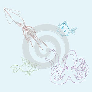 Hand drawn set of marine animals. Vector illustration set of fish. Icon, logo cartoon squid, octopus, fish
