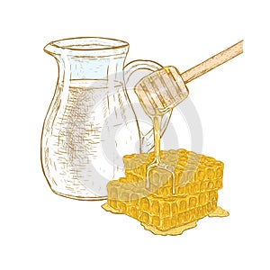 Hand drawn set of milk and honey. Vector sketch