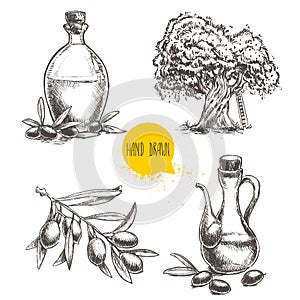Hand drawn set of olive branch with olives, bottles with olive oil and olive tree.