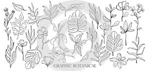 Hand drawn set sketch style Wild flowers . Line nature style,Drawing flora,hand drawn botany