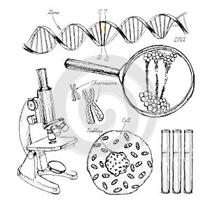 Hand drawn set structure of DNA. genome sequence. Health and biochemistry laboratory of nanotechnology. Molecule helix