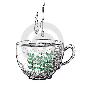 Hand drawn set with tea elements. Cup for the design of the banner, print, icon, label, menu poster cafe