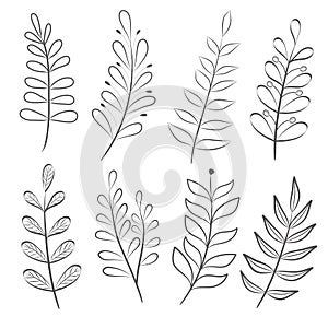 Hand drawn set of tree branches, collection of floral elements,