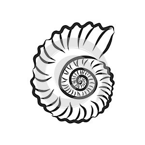 Hand drawn set of various seashell. clam shell, vector sketch