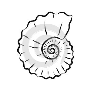 Hand drawn set of various seashell. clam shell, vector sketch