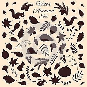 Hand drawn set of vector autumn elements and animals silhouettes