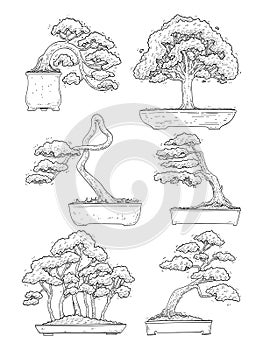 hand drawn side view Bonsai tree vector set.