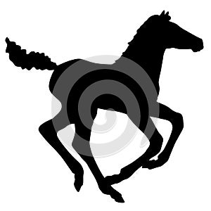 Hand drawn silhouette of  foal isolated on white background.