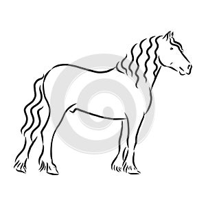 Hand-drawn silhouette of a prancing heavy - harnessed white horse on a white background, heavy horse, vector sketch illustration