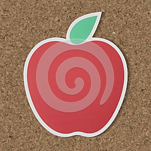 Hand drawn of a Silver Dollar Plant