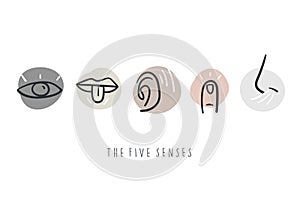 Hand drawn simple icons representing the five senses. Hand drawn doodles.