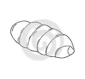 hand-drawn simple rolled bun