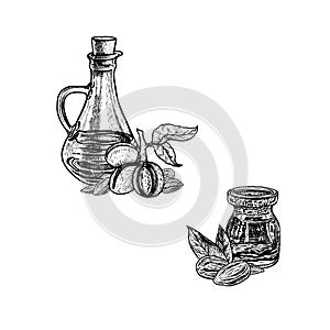 Hand drawn sketch of almond oil. Extract of plant. Vector illustration