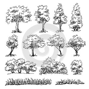 Hand drawn sketch architect trees