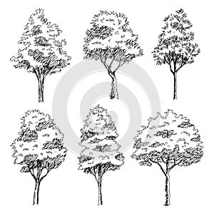 hand drawn sketch architect trees