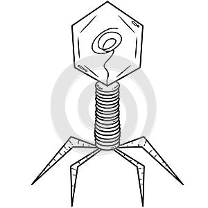Hand-Drawn Sketch of a Bacteriophage