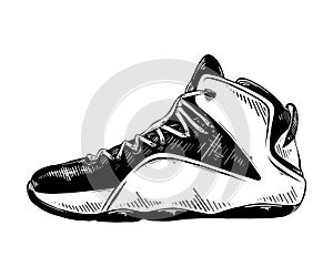 Hand drawn sketch of basketball sneaker in black isolated on white background. Detailed vintage etching style drawing.