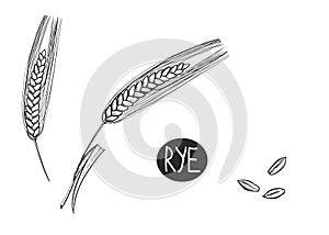 Hand drawn sketch black and white set of ear rye, leaf, grain, flour. Vector illustration. Elements in graphic style