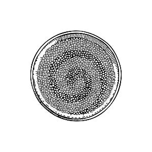 Hand-drawn sketch of canned caviar isolated on a white background. Black caviar in opened tin can vector drawing in engraved style