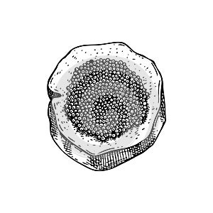 Hand-drawn sketch of caviar on a bread slice isolated on a white background. Black caviar canape vector drawing in engraved style