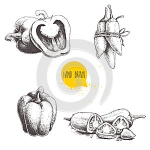 Hand drawn sketch collection of different types of pepper. Bell sweet peppers composition, sliced hot chili peppers and jalapeno p photo